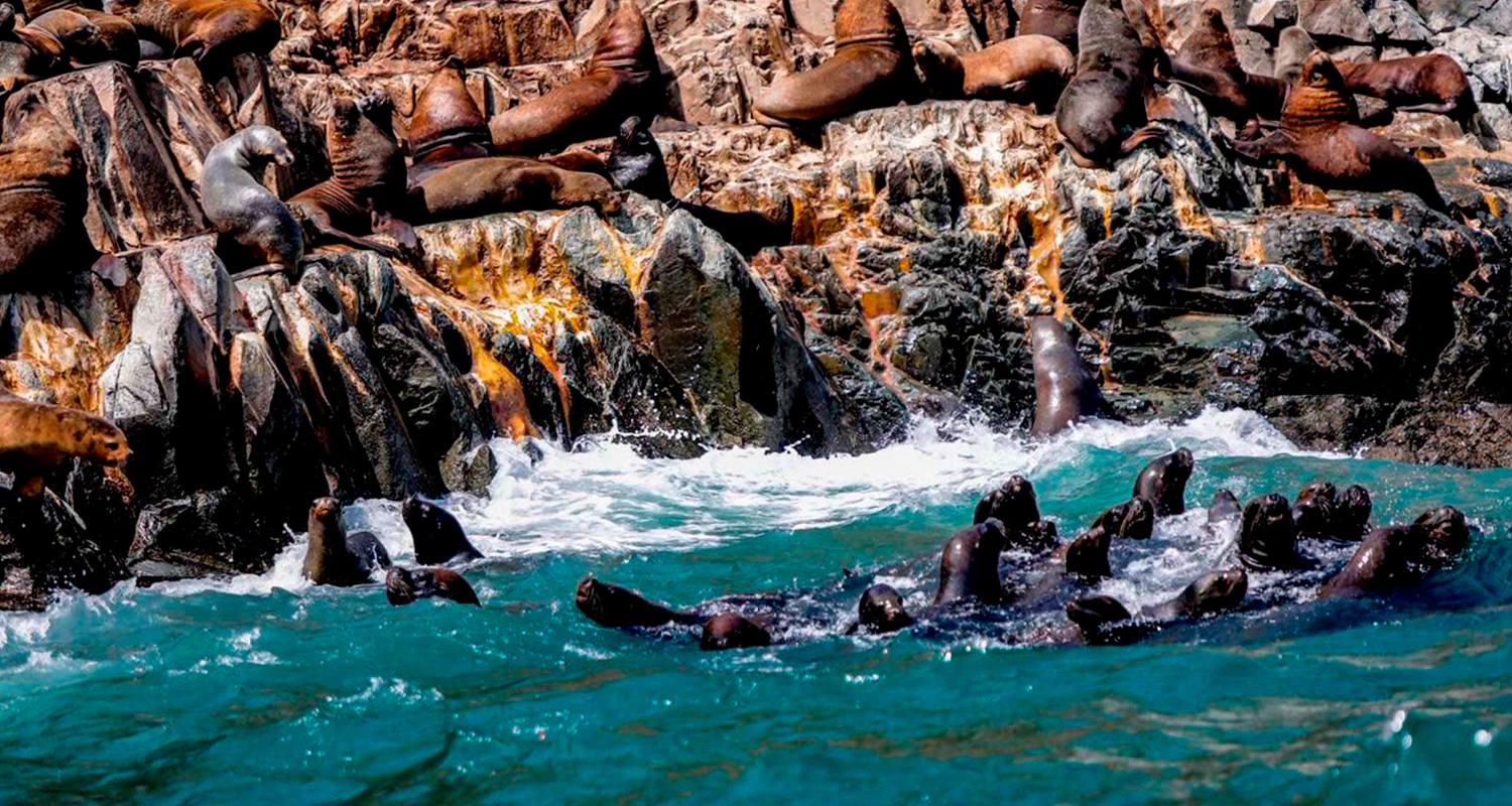 Lima Peru travel packages 10D/9N